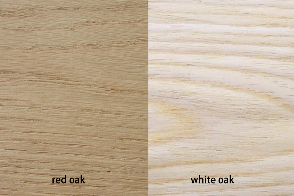 red oak vs white oak