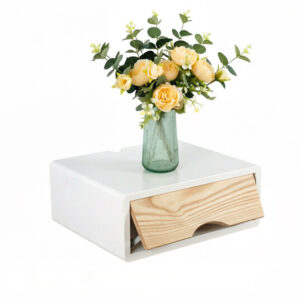 Adjustable Wall Storage Cabinet