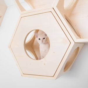 Wood Hexagon Wall-Mounted Cat Shelf