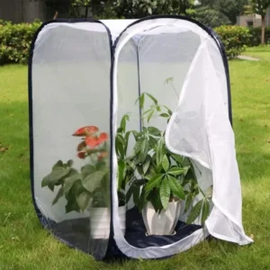 Pop-up Butterfly Habitat Cage for Garden Education Projects