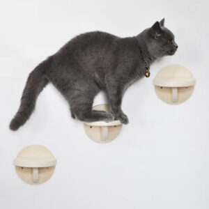 Minimalist Round Wooden Wall-Mounted Cat Climbing Step