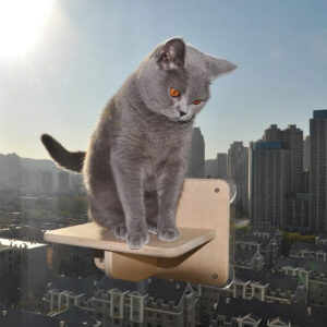 Natural Plywood Suction Cup Window Cat Perch