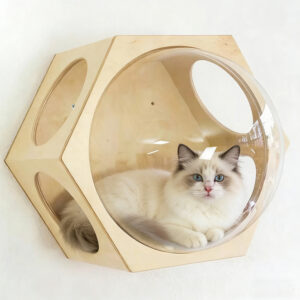 Wall-Mounted Hexagonal Wooden Cat Bed with Acrylic Space Capsule